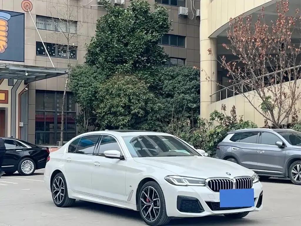 BMW 5 Series 2022 из CN, фото 7