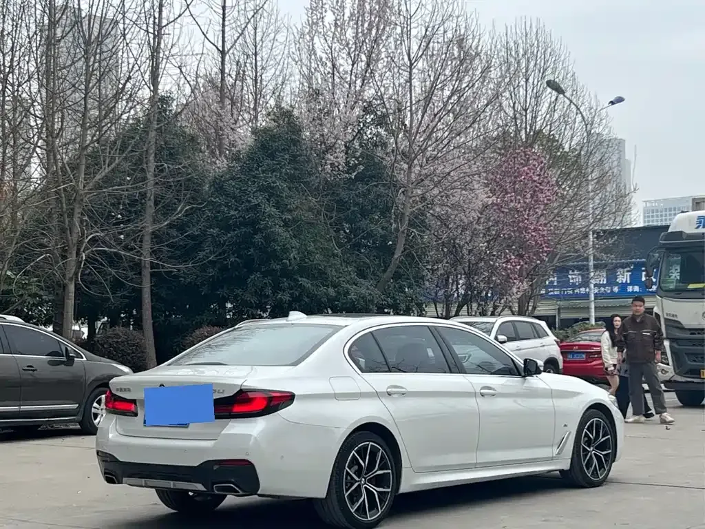 BMW 5 Series 2022 из CN, фото 9