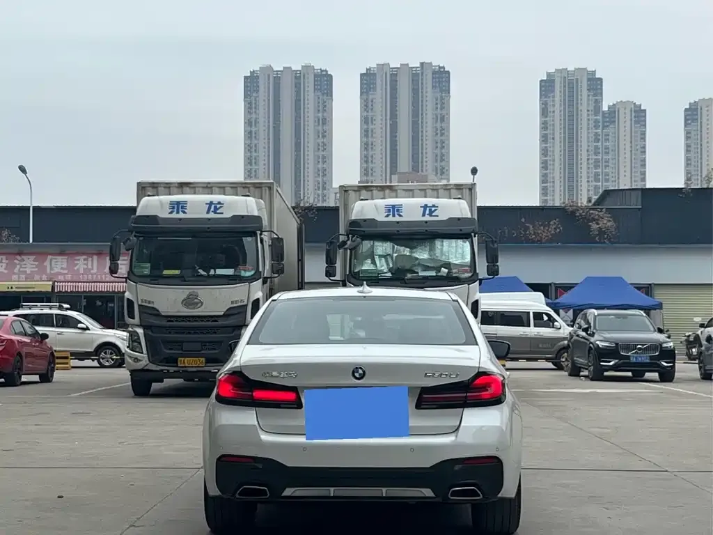 BMW 5 Series 2022 из CN, фото 3