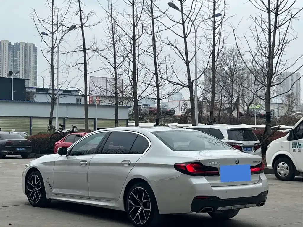 BMW 5 Series 2022 из CN, фото 8