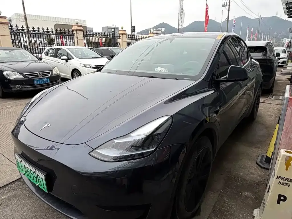 Tesla Model Y — фото 1