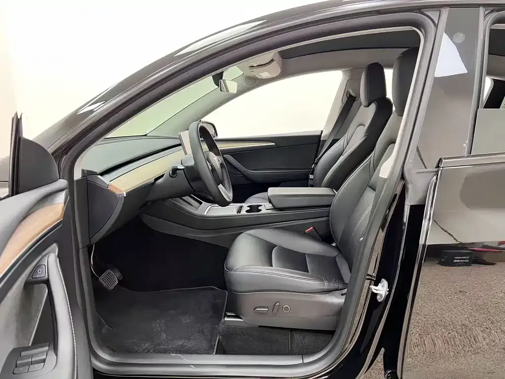 Tesla Model Y — фото 10