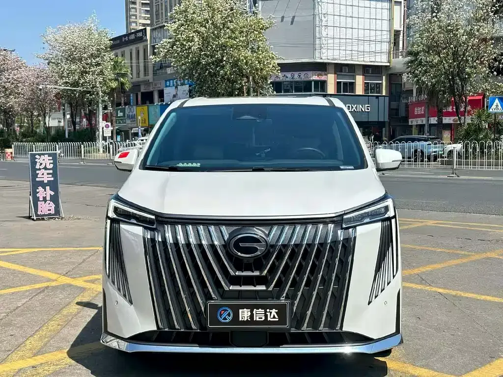 GAC Motor Trumpchi M8 2024 из CN, фото 8