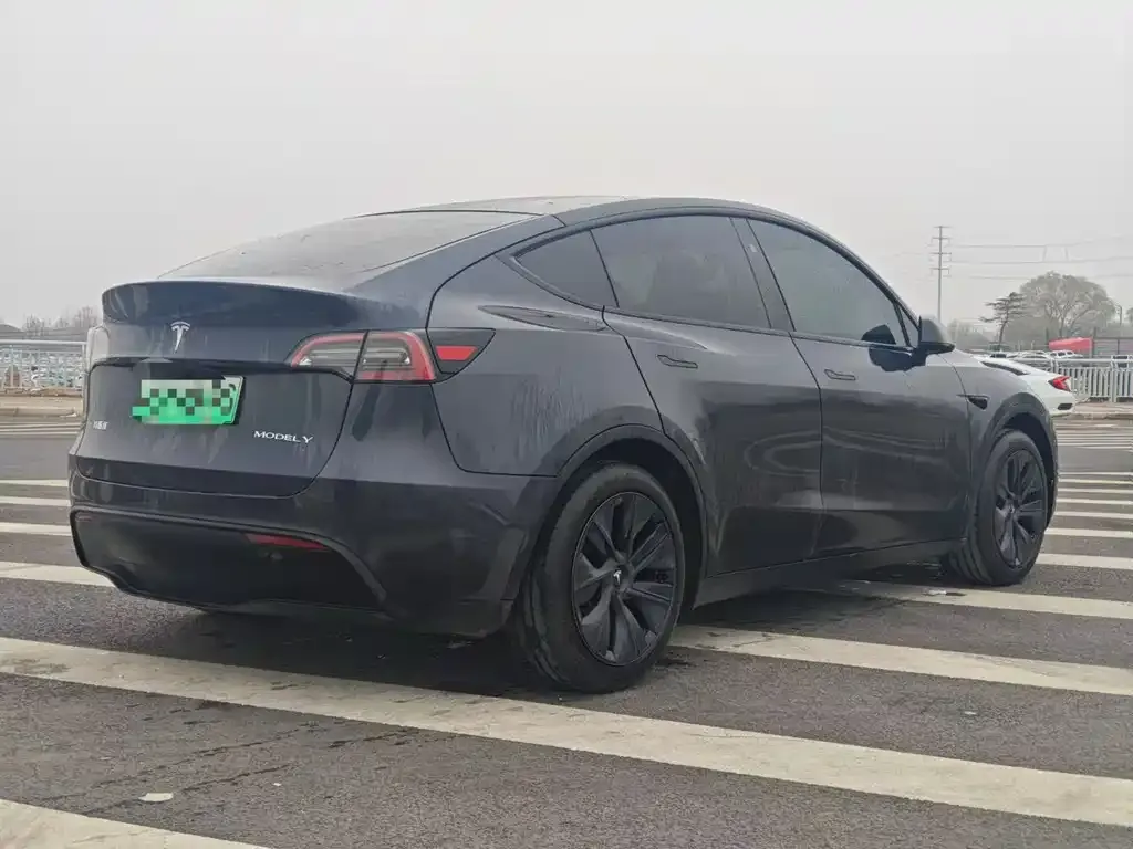 Tesla Model Y 2024 из CN, фото 2