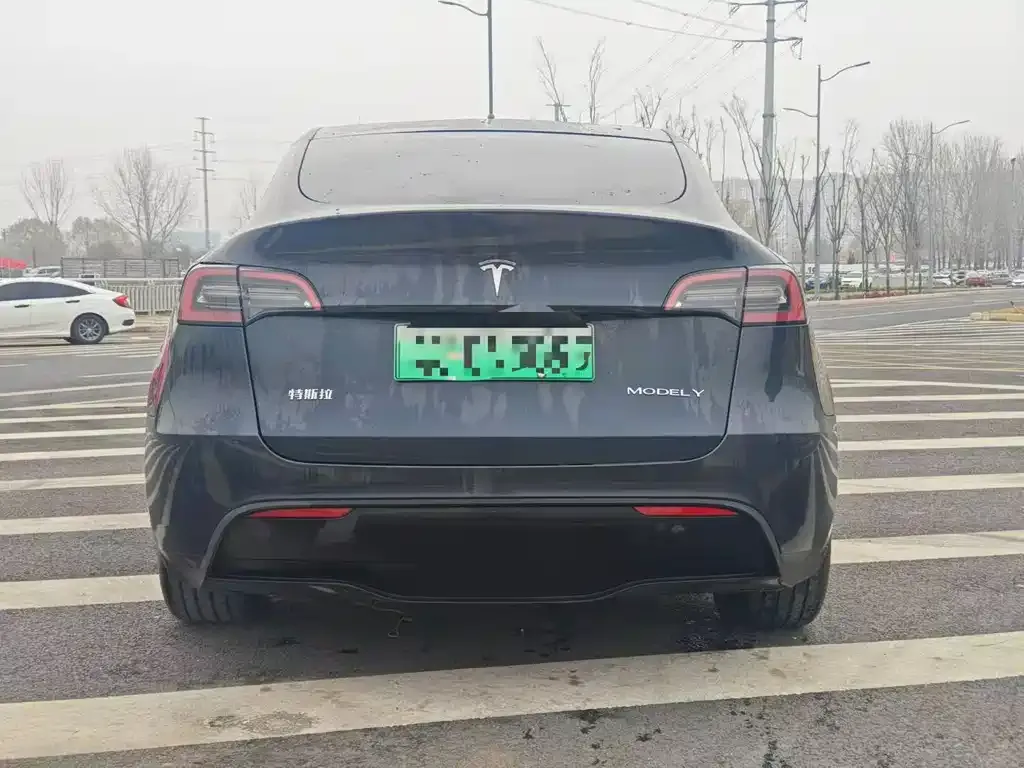 Tesla Model Y 2024 из CN, фото 3