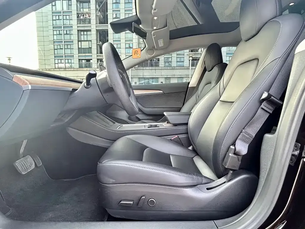 Tesla Model 3 2022 из CN, фото 6