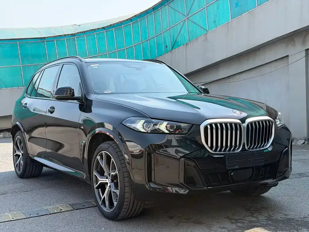 BMW X5 — фото 7