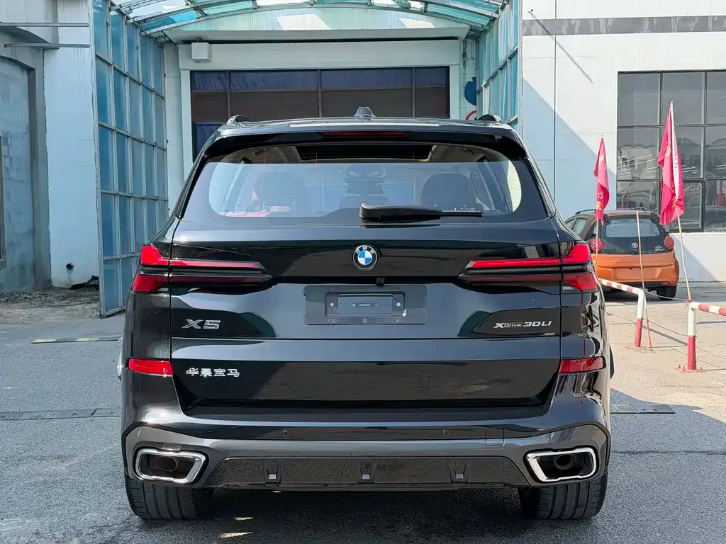 BMW X5 — фото 10