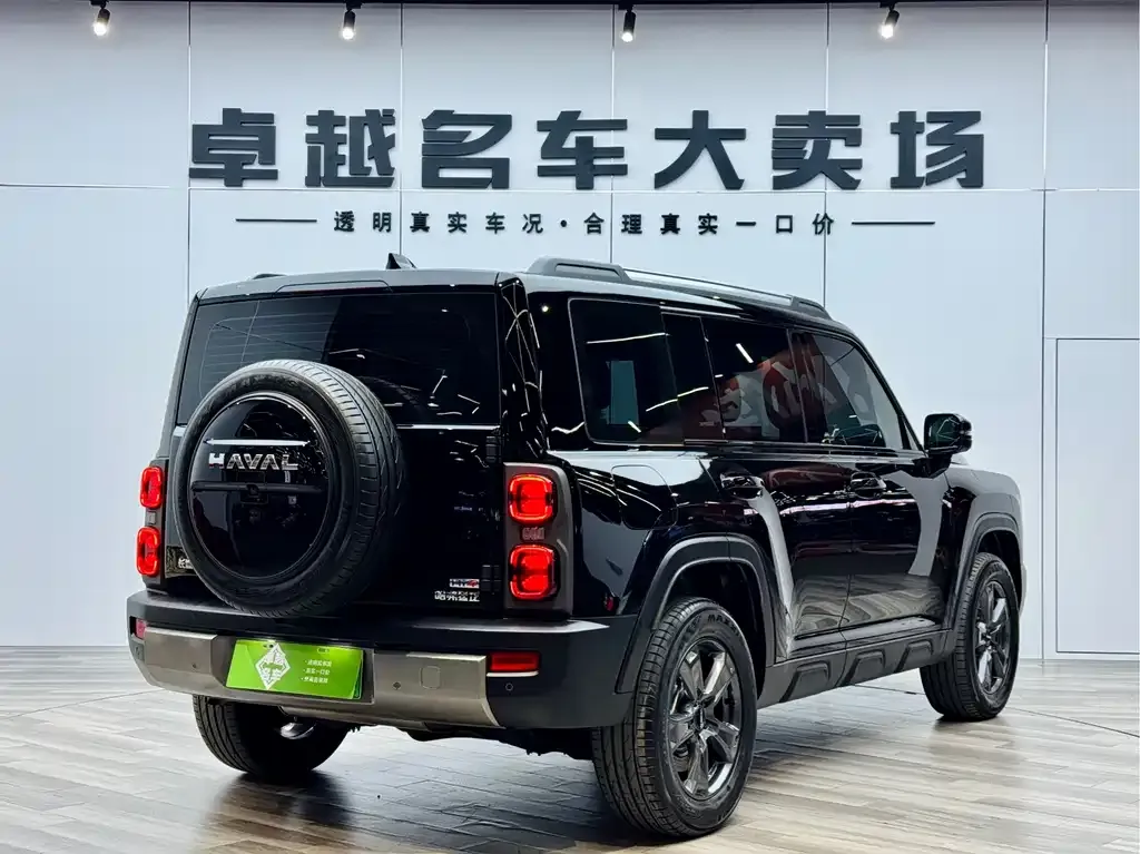 Haval Menglong New Energy — фото 9