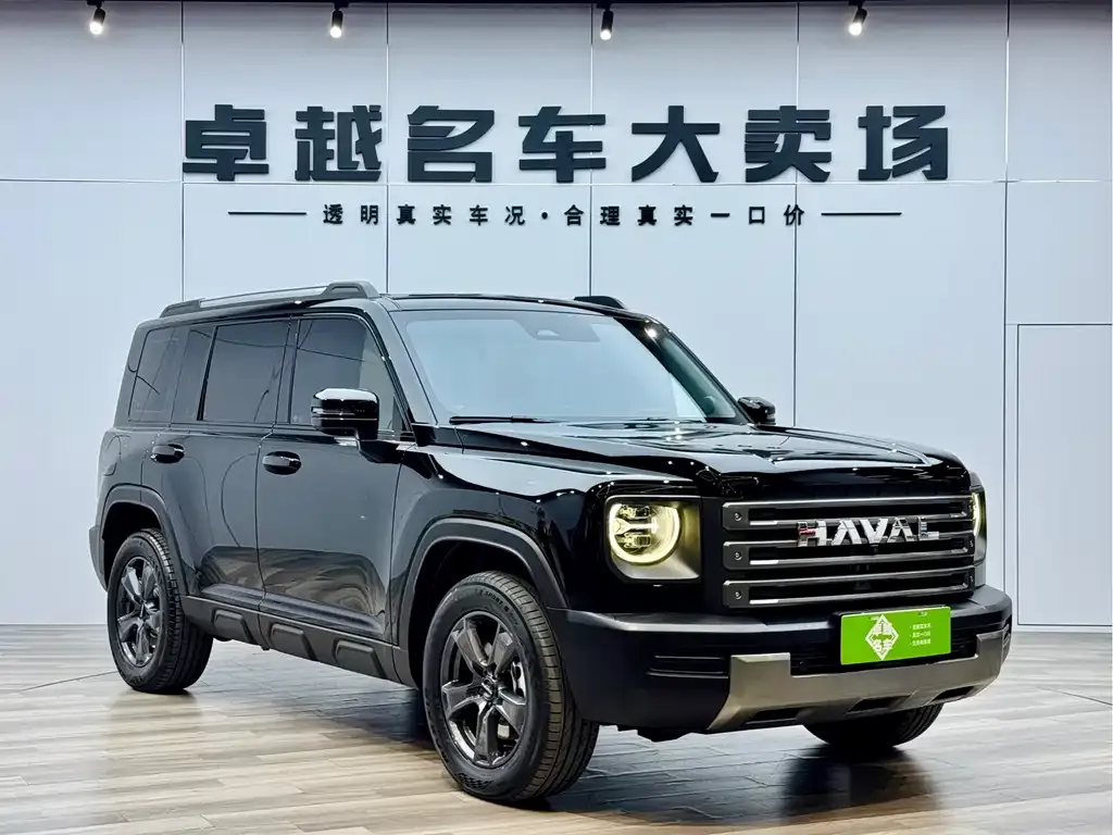 Haval Menglong New Energy — фото 10