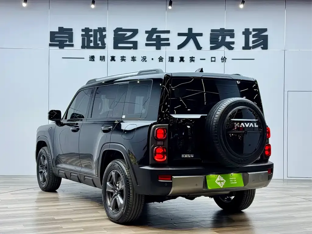 Haval Menglong New Energy — фото 7