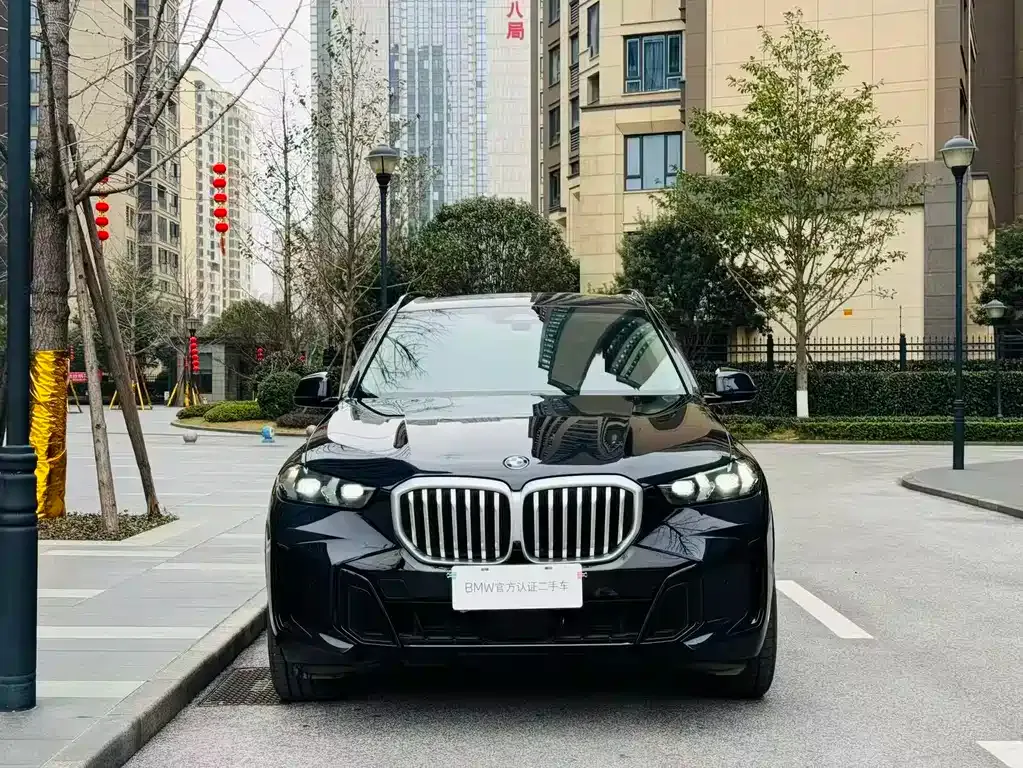 BMW X5 — фото 9