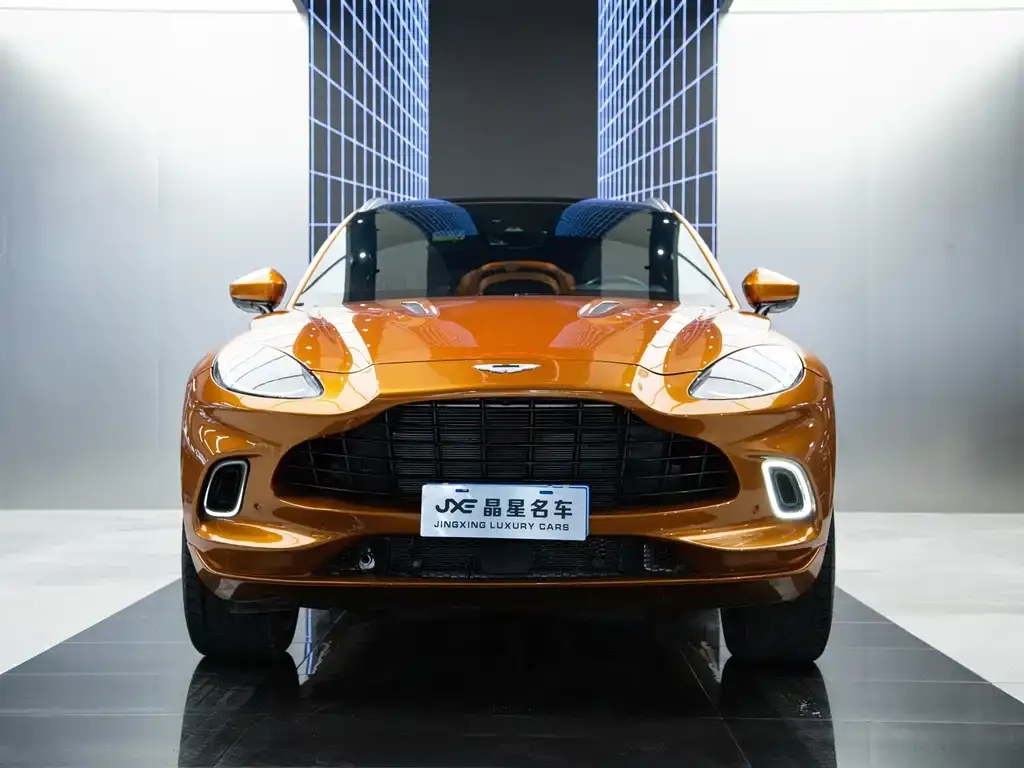 Aston Martin DBX 2022 из CN, фото 3