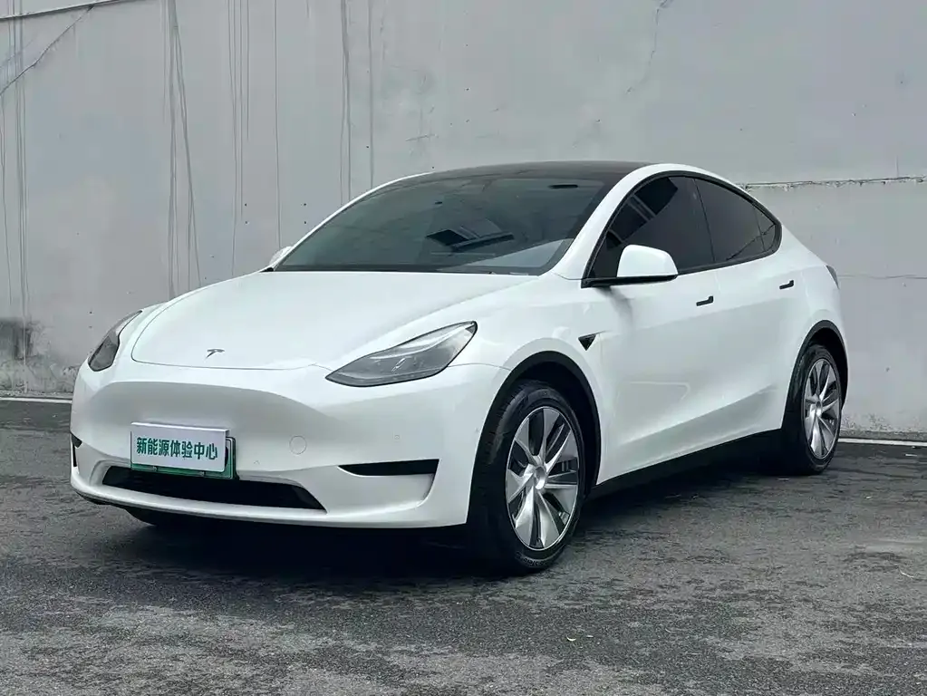Tesla Model Y — фото 1
