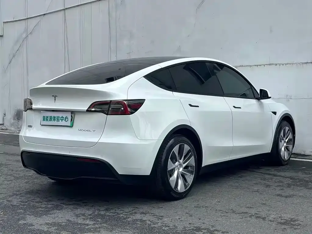 Tesla Model Y — фото 6