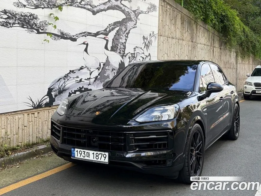 Porsche Cayenne 3.0 E-Hybrid 1