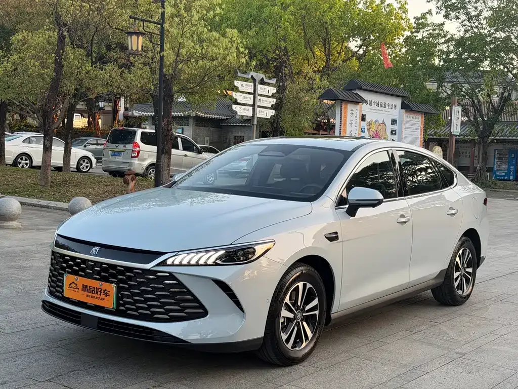 BYD Qin PLUS 2025 из CN, фото 1