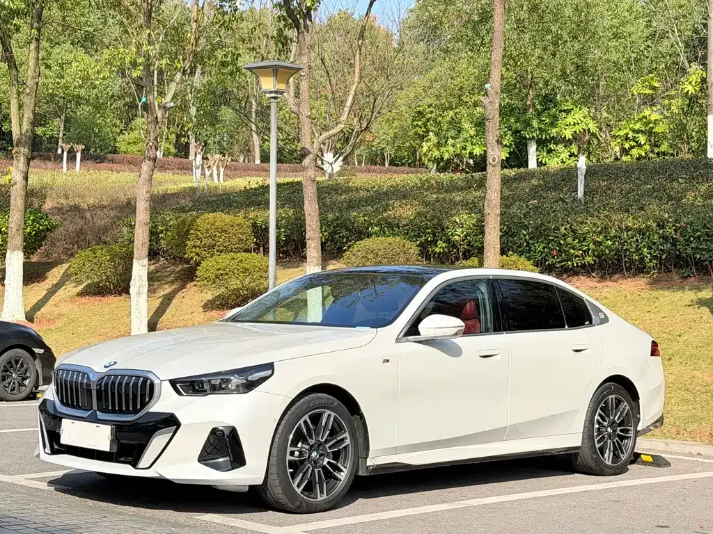 BMW 5 Series 2025 из CN, фото 1