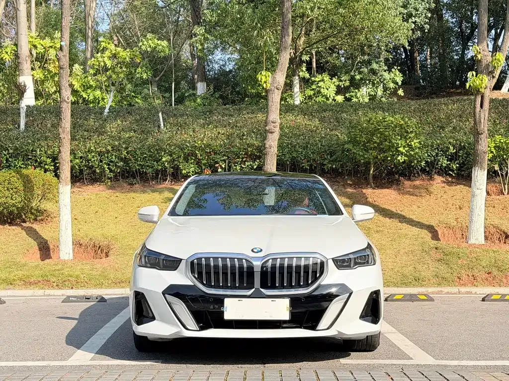 BMW 5 Series 2025 из CN, фото 8