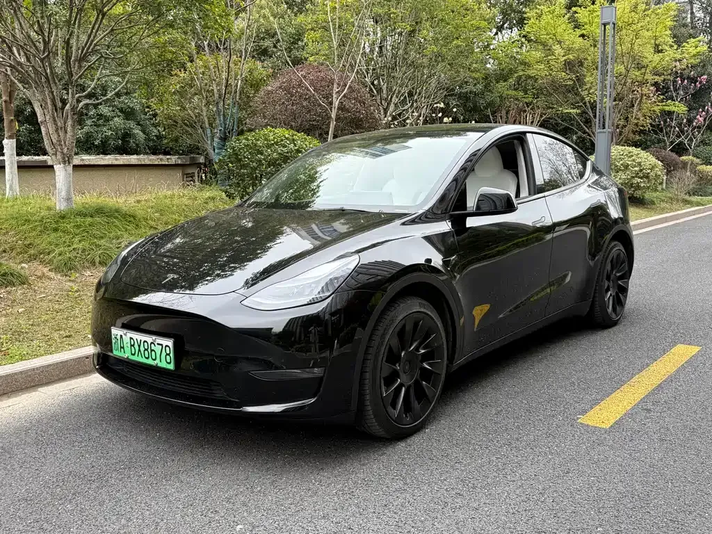 Tesla Model Y 2023 из CN, фото 1