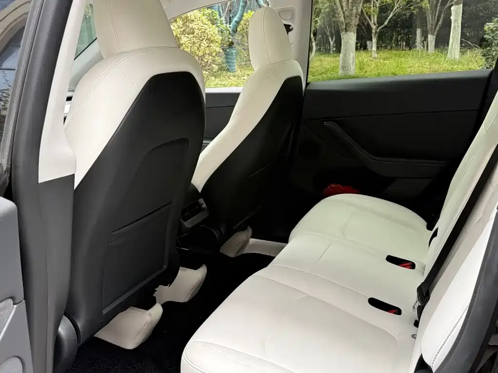 Tesla Model Y 2023 из CN, фото 3