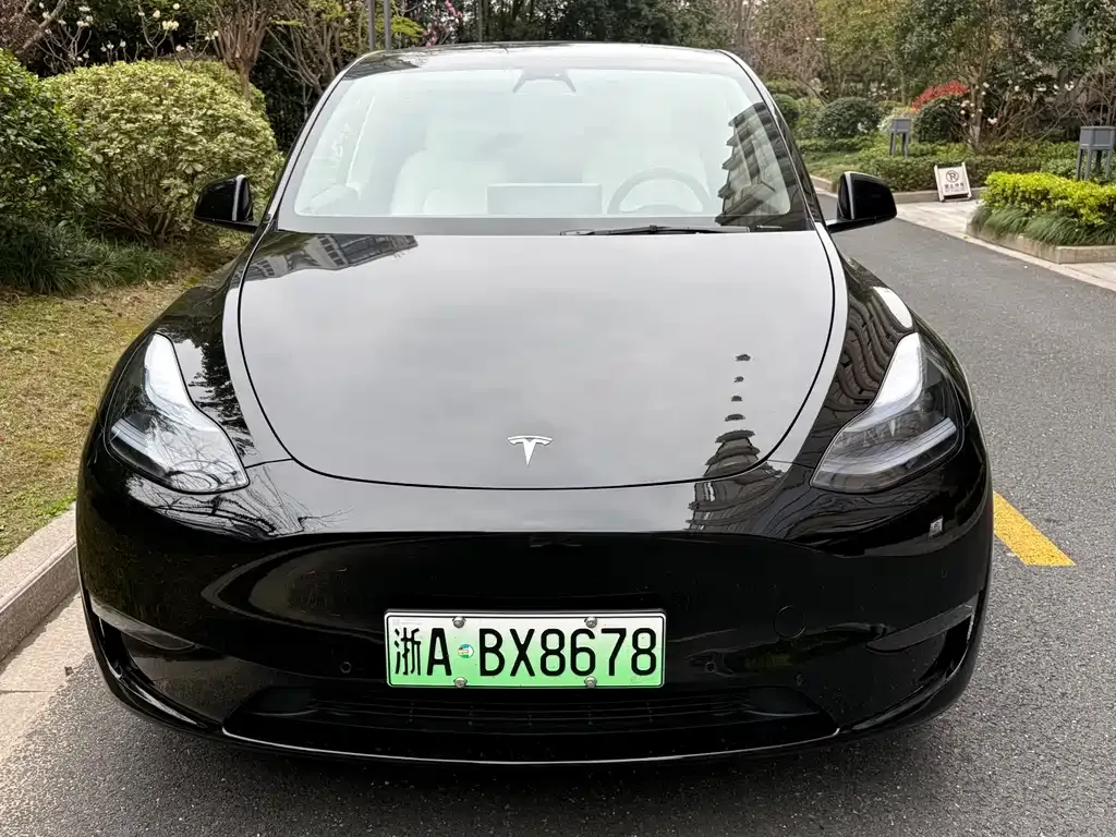 Tesla Model Y 2023 из CN, фото 4