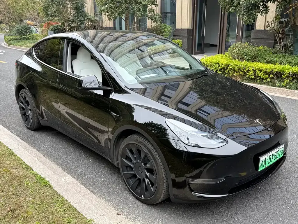 Tesla Model Y 2023 из CN, фото 8