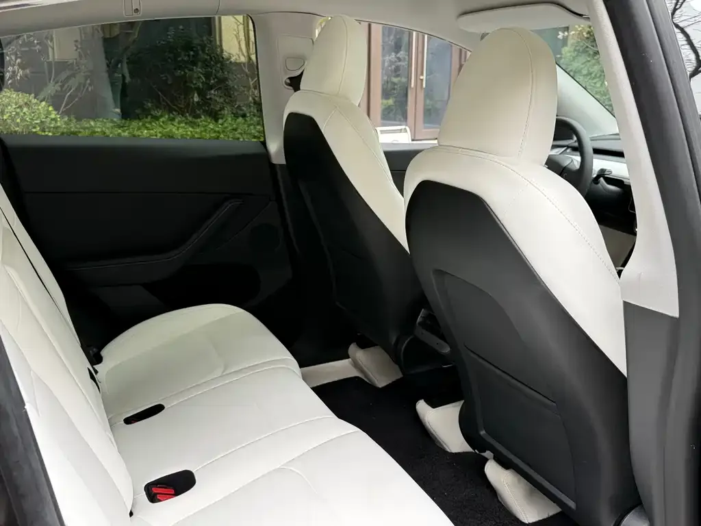 Tesla Model Y 2023 из CN, фото 2