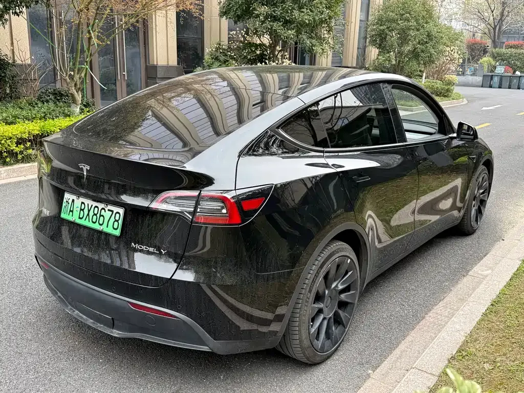 Tesla Model Y 2023 из CN, фото 6
