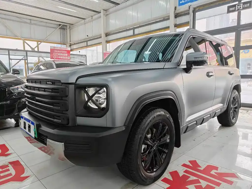 Haval Menglong New Energy 2025 из CN, фото 1