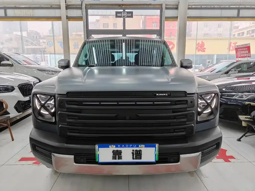 Haval Menglong New Energy 2025 из CN, фото 3