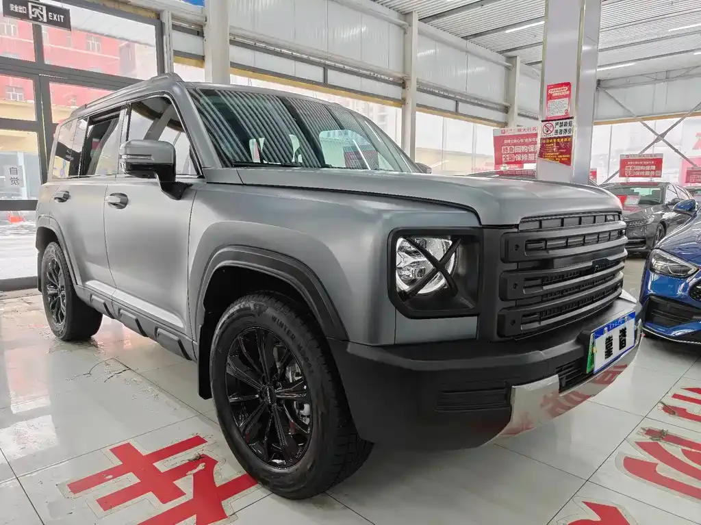 Haval Menglong New Energy 2025 из CN, фото 2