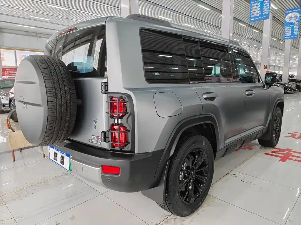 Haval Menglong New Energy 2025 из CN, фото 7