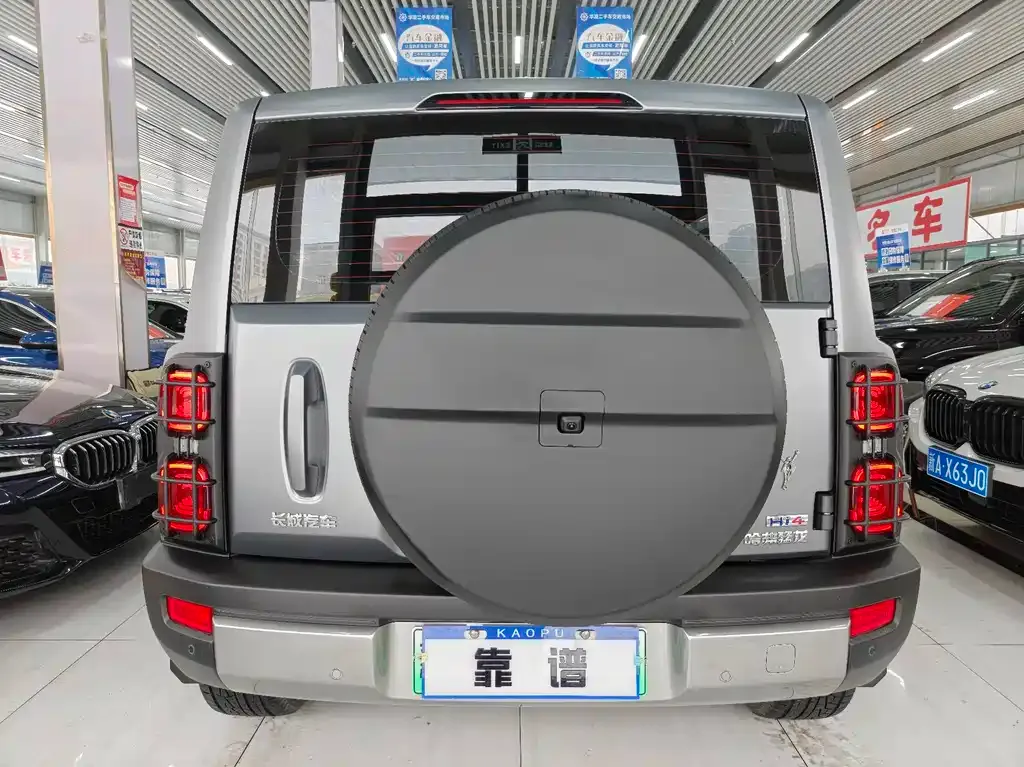 Haval Menglong New Energy 2025 из CN, фото 5