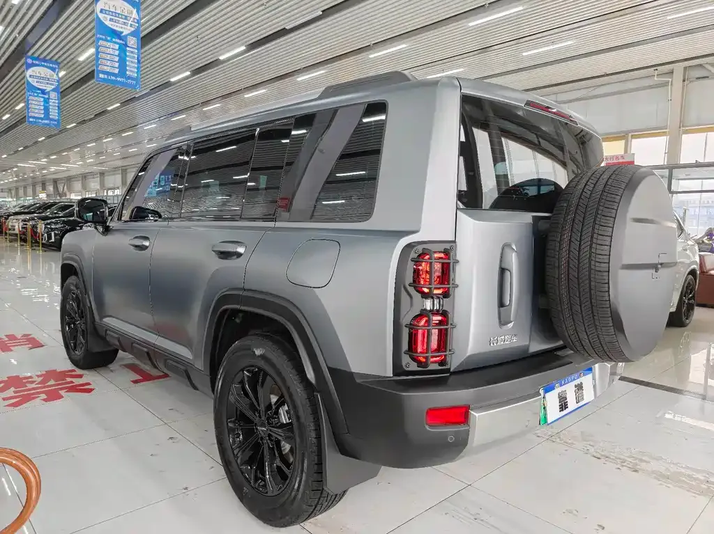 Haval Menglong New Energy 2025 из CN, фото 8