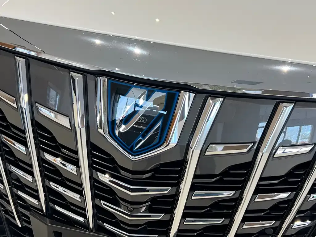 Toyota Alphard — фото 9