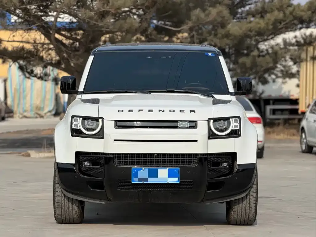 Land Rover Defender 2024 из CN, фото 4