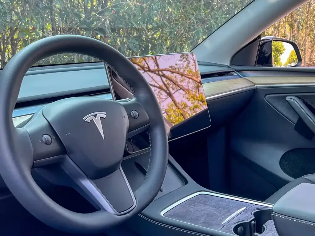 Tesla Model Y — фото 2