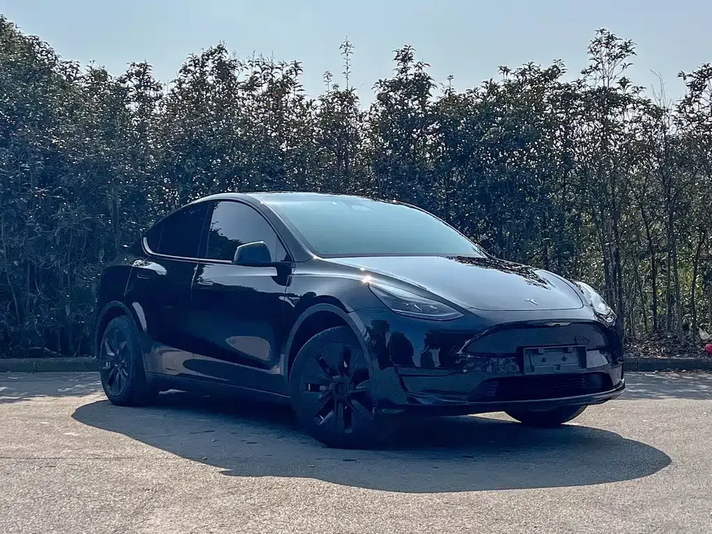 Tesla Model Y — фото 8
