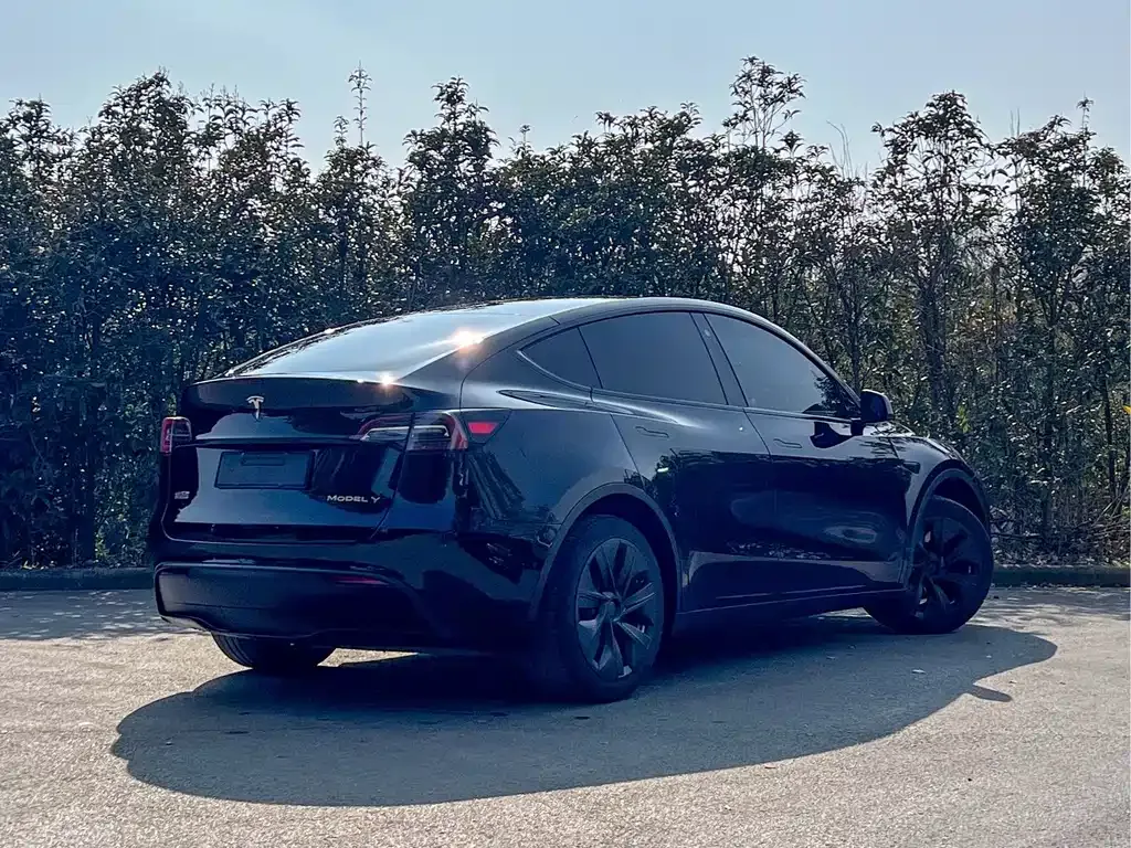 Tesla Model Y — фото 9