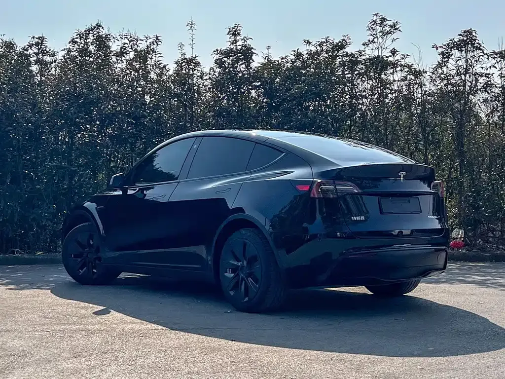 Tesla Model Y — фото 7