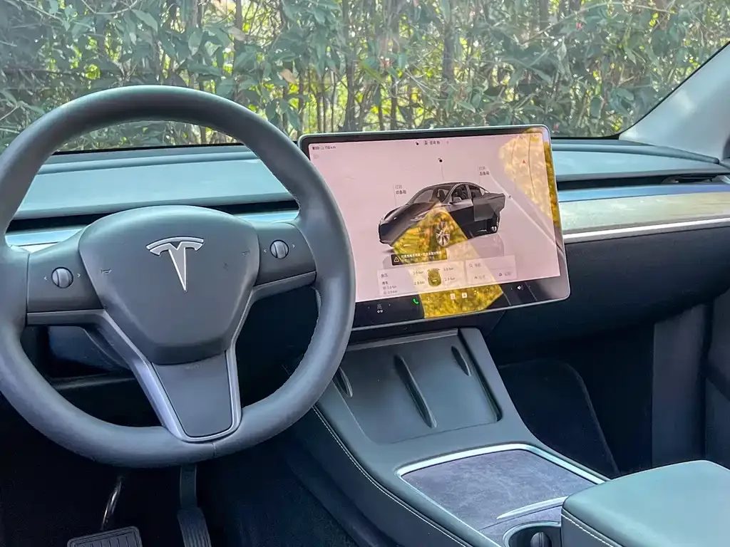 Tesla Model Y — фото 5