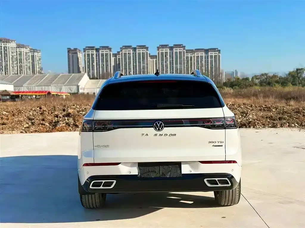 Volkswagen Tavendor 2024 из CN, фото 6