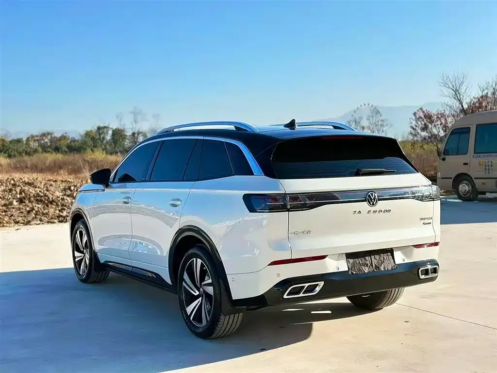 Volkswagen Tavendor 2024 из CN, фото 4
