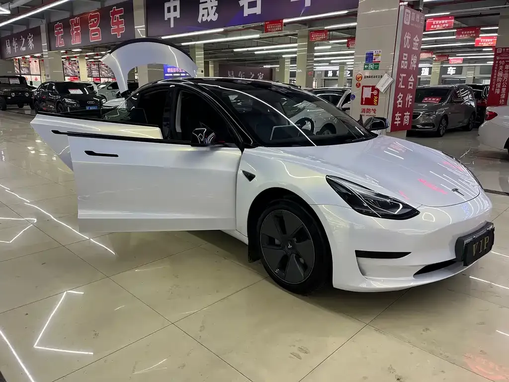 Tesla Model 3 2023 из CN, фото 2