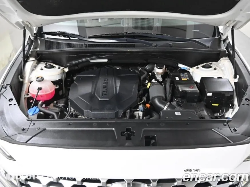 Hyundai Santafe 2021 из KR, фото 4