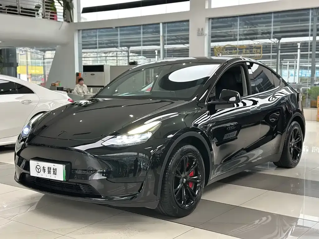 Tesla Model Y — фото 1