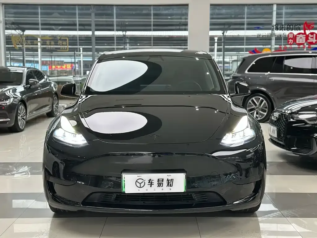 Tesla Model Y — фото 3