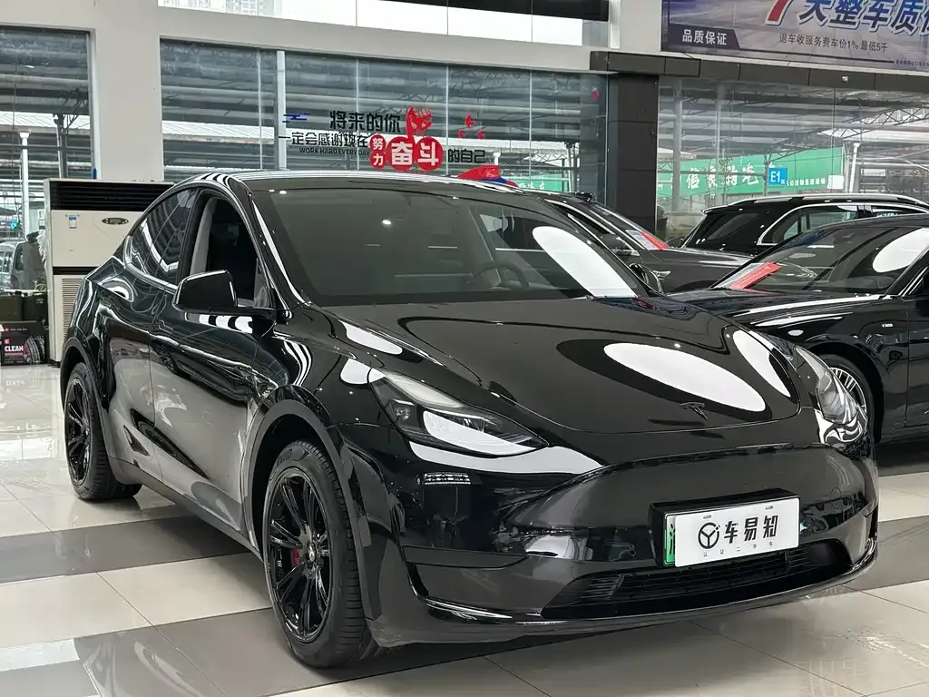 Tesla Model Y — фото 10