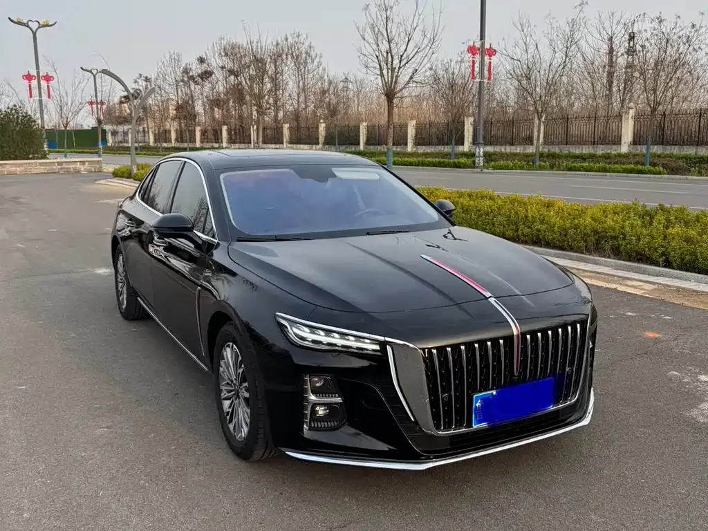 Hongqi H5 2023 из CN, фото 2